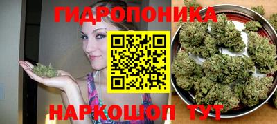 прущая мука Донецк