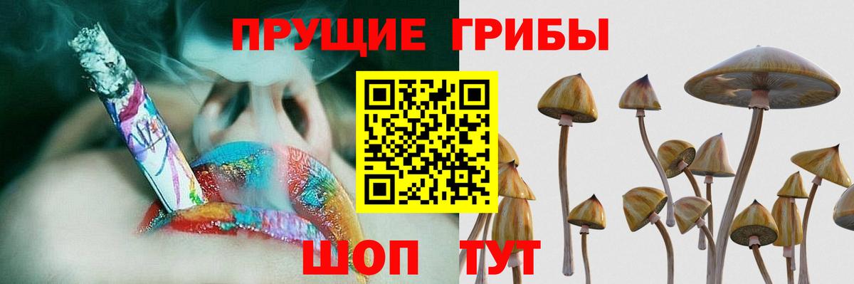 Галлюциногенные грибы MAGIC MUSHROOMS  Вход с VPN  Псилоцибиновые грибы Cubensis  Зеленогорск 